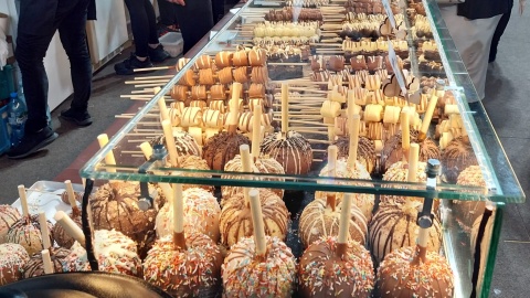 Takie atrakcje czekają w bydgoskiej Łuczniczce. / Fot. Marcin Kupczyk