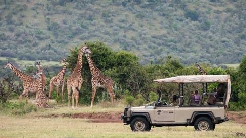 Saruni Mara, Masai Mara safari z biurem Carter. materiał promocyjny