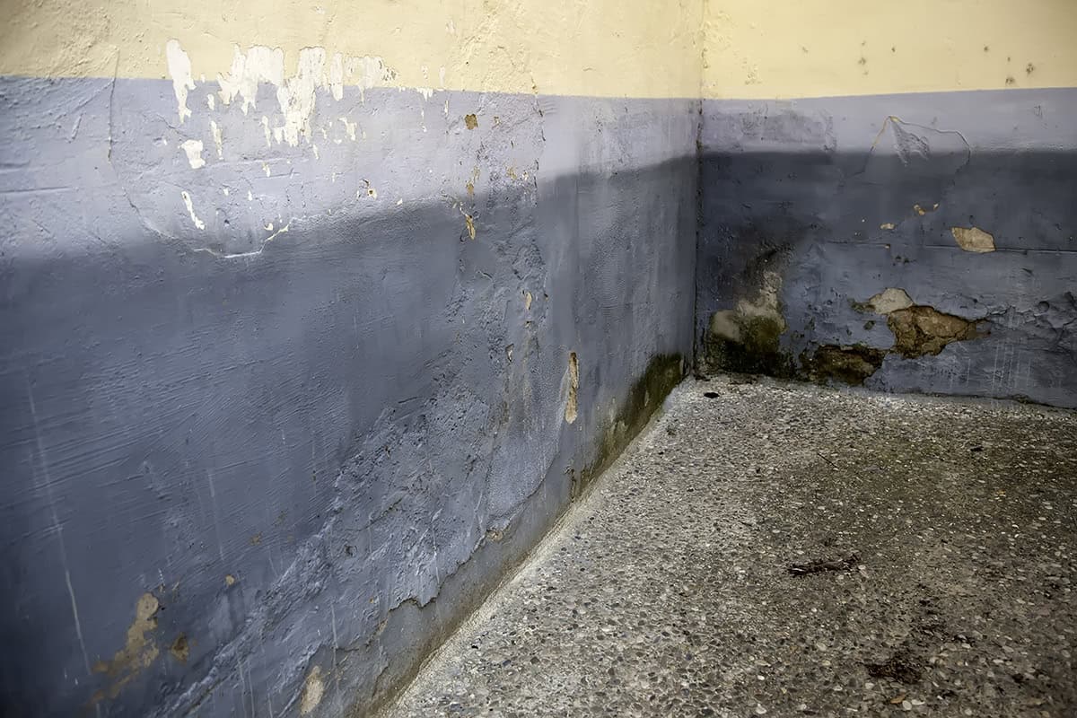 wilgotne-sciany-domu wilgotne-sciany-domu