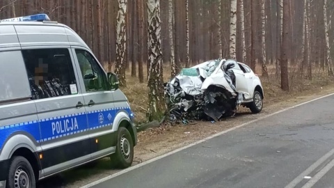 Zderzenie auta z drzewem w Bożenkowie/fot. OSP Wtelno