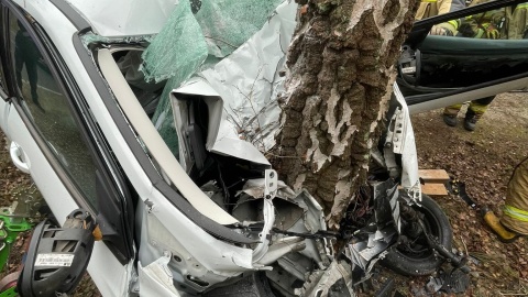 Zderzenie auta z drzewem w Bożenkowie/fot. OSP Wtelno