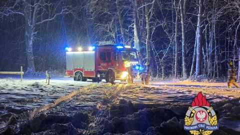 Najwięcej strażackich interwencji dotyczyło oberwanych pod naporem śniegu konarów oraz przewróconych drzew/fot. KM PSP Toruń