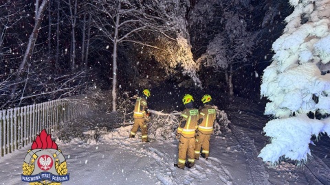Najwięcej strażackich interwencji dotyczyło oberwanych pod naporem śniegu konarów oraz przewróconych drzew/fot. KM PSP Toruń