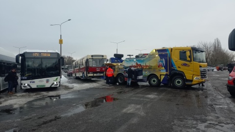 40 elektrycznych autobusów zasili flotę Miejskiego Zakładu Komunikacji w Toruniu. Dziesięć pojazdów jest już na miejscu i niedługo będzie przewozić pasażerów/fot. Michał Zaręba