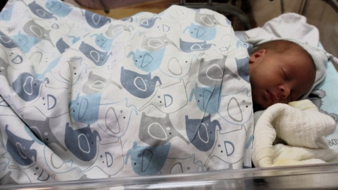 Mama i trojaczki czują się dobrze, więc mogą wrócić do domu/fot. Tatiana Adonis