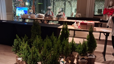 Każda złotówka zebrana podczas aukcji to realna pomoc dla zwierząt. / Fot. Agata Raczek