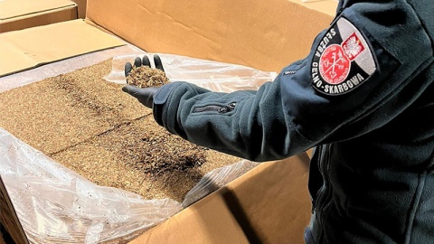 Służby zabezpieczyły prawie 63 tony nielegalnego tytoniu, który znajdował się m.in. w dwóch kontenerach na terenie województwa mazowieckiego/fot. Izba Administracji Skarbowej w Warszawie