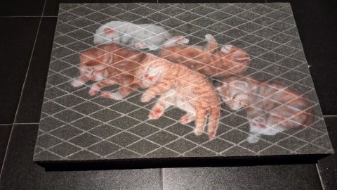 Wystawa podejmuje tematy kobiecości, poszukiwania miłości i jednorazowości w życiu człowieka/fot. Iwona Muszytowska-Rzeszotek