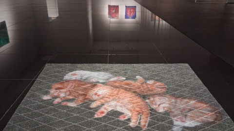 Wystawa podejmuje tematy kobiecości, poszukiwania miłości i jednorazowości w życiu człowieka/fot. Iwona Muszytowska-Rzeszotek