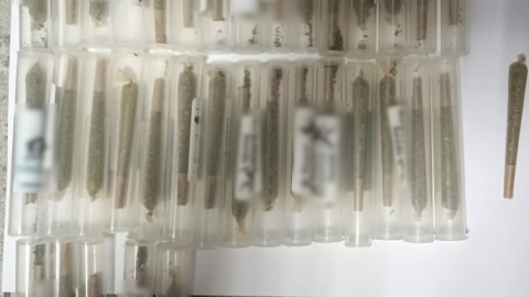 Narkotyki znalezione w mieszkaniu zatrzymanego bydgoszczanina/fot. materiały policji