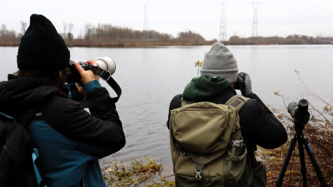 Wyprawa ornitologiczna w okolice Brdyujścia/fot. Tatiana Adonis