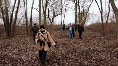 Wyprawa ornitologiczna w okolice Brdyujścia/fot. Tatiana Adonis