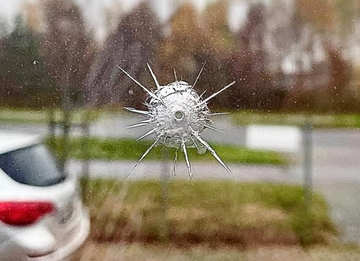 Policja szuka sprawcy bądź sprawców ostrzelania przedszkola w podbydgoskim Osielsku