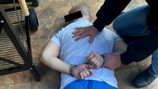 Zabite alpaki, lama, spalone zoo w Ostrówku. 47-latek zatrzymany przez policję na Mazowszu [wideo]