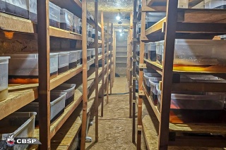 CBŚP zlikwidowało laboratoria syntetycznych narkotyków. Działania służb m.in. w Inowrocławiu [zdjęcia, wideo]
