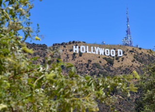 Włocławek z wielkim napisem jak Hollywood To jedna z propozycji do budżetu obywatelskiego na przyszły rok