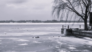 Nie żyją matka z synem, którzy wpadli do zamarzniętego stawu pod Poznaniem