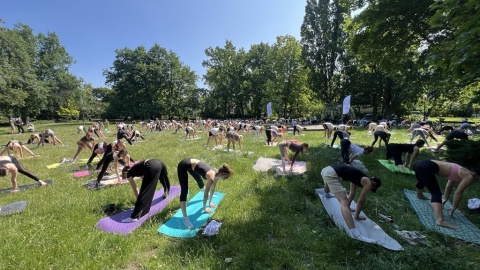 Bydgoski park zmienił się w salę do ćwiczeń jogi pod gołym niebem. Powtórka w następną sobotę
