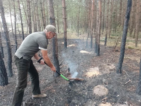 Leśnicy szukają świadków podpaleń na terenie Nadleśnictwa Dobrzejewice [wideo, zdjęcia]