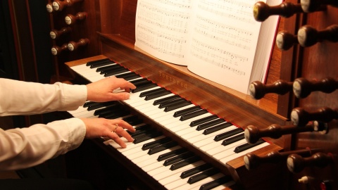 Harfa i organy wypełnią muzyką mury bydgoskiej katedry. Kolejna odsłona letnich koncertów