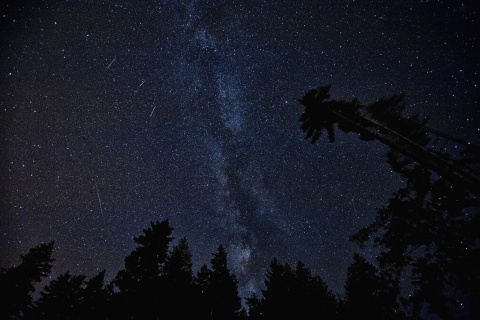 Do końca sierpnia niebo zaprasza na pokazy. Atrakcją są roje meteorów, czyli Perseidy