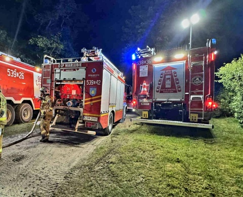 Dom i budynek gospodarczy spłonęły w Białych Błotach w powiecie świeckim
