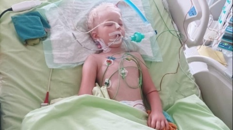 Ponad 53 tys. zł dla 6-letniej Irenki. Tyle zebrano podczas akcji w Śliwicach