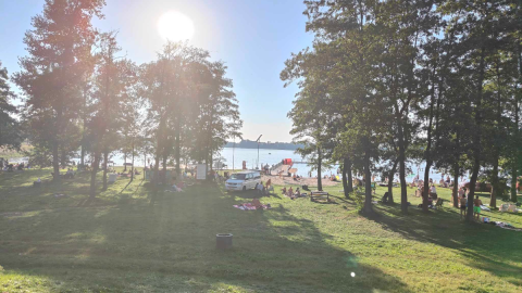 Czerwona flaga na plaży w Wąsoszu. Nie można się kąpać, bo w jeziorze pływają śnięte ryby