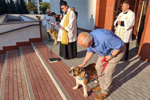 Grzeczne jak anioły, choć czasem dają głos. Błogosławieństwo zwierząt w Bydgoszczy [zdjęcia]