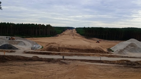 Budowa drogi S10 może się opóźnić. Trzeba przyciąć korony 103 drzew, są protesty
