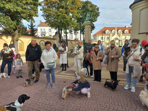 Wyjątkowe nabożeństwa w dwóch włocławskich kościołach. Podczas mszy św. błogosławiono zwierzęta