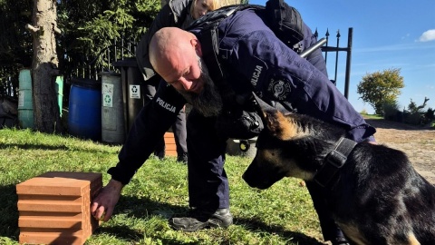 Materiały wybuchowe im niestraszne. Szkolenie policjantów i psów w Gościeradzu [zdjęcia]