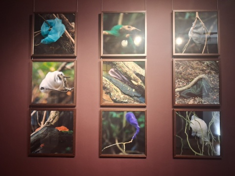 Vintage Photo Festiwal w Toruniu. Nowa wystawa w Muzeum Uniwersyteckim