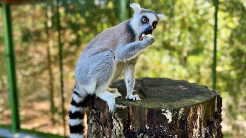 Koncerty, spotkania, warsztaty, spacery i wiele więcej [przewodnik na weekend]