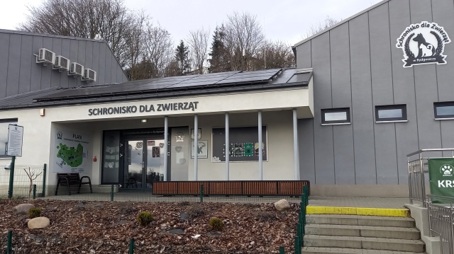 Trwa zbiórka elektroodpadów w Bydgoszczy. Kontenery stoją przy Schronisku dla Zwierząt