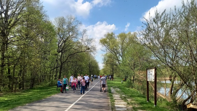Słoneczna Wielkanoc wygrała ze świątecznym stołem Bydgoszczanie ruszyli na spacer po Myślęcinku [zdjęcia]