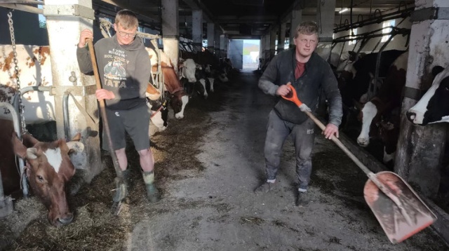O konflikcie sąsiedzkim o krowy. Studio Reportażu PR na Konkursie Grand PiK 2025
