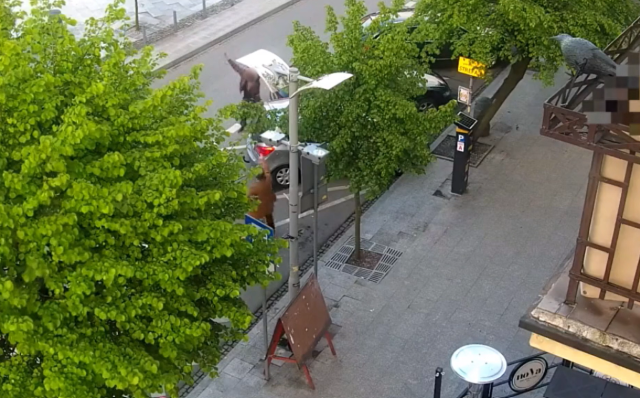 Sceny jak z filmu. Pijany mężczyzna strzelał z pistoletu w Brodnicy [WIDEO]