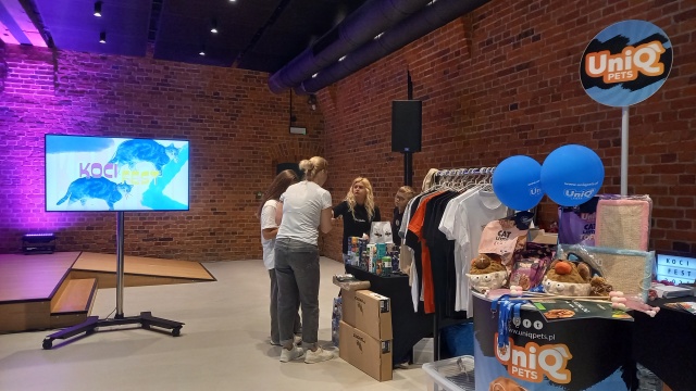 Wielbiciele kotów mają swoje święto W Bydgoszczy trwa Koci Fest [zdjęcia]
