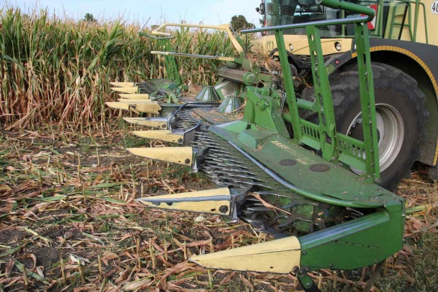 Pułapki na kombajny, psy tropiące i policyjne drony nad polami. Ruszył sezon zbioru kukurydzy