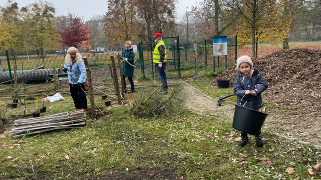 Łąka, las i ogród deszczowy w jednym. Mieszkańcy i społecznicy odmienili bydgoski skwer [zdjęcia]