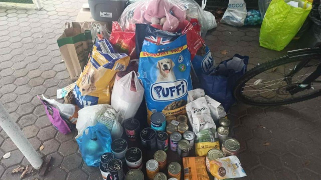 Samotne psy mogły poczuć się jak z domu. Torunianie zabrali zwierzaki ze schroniska na spacer