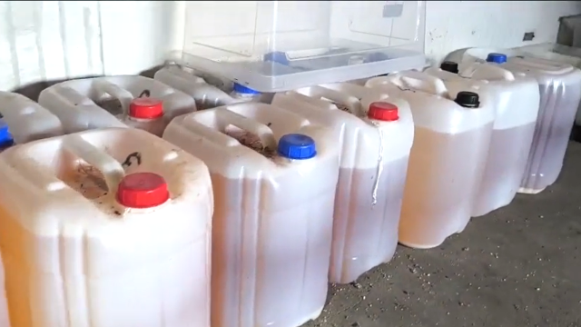 Prawie 650 kg narkotyków Akcja poznańskiej policji w Kujawsko-Pomorskiem [wideo]