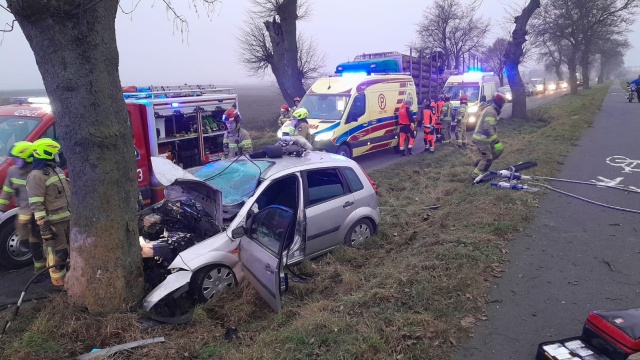 Uderzył samochodem w drzewo. Wypadek w Płutowie pod Chełmnem [zdjęcia]