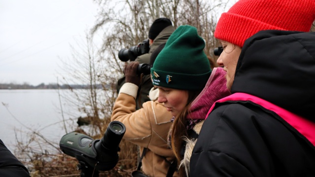 Wypatrzyli pliszkę górską i tracza długodziobego. Całą grupą wybrali się na spacer ornitologiczny [zdjęcia]