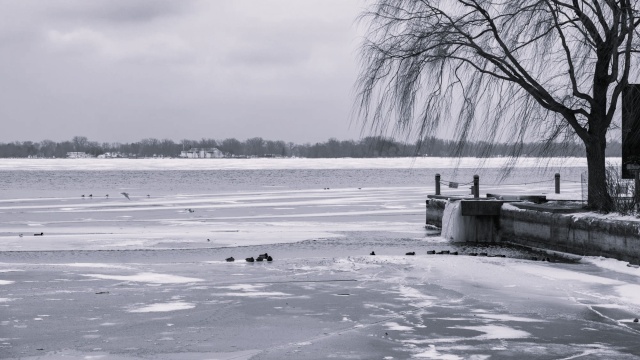 Nie żyją matka z synem, którzy wpadli do zamarzniętego stawu pod Poznaniem