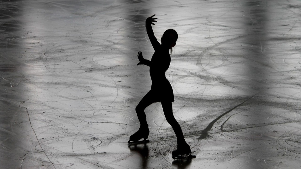 Zajęcia odbyły się w ramach serii ICEskatERA & Friends: Moments that Matter/fot. Pixabay