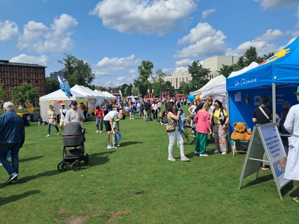 Piknik Bydgoskich Organizacji Pozarządowych – NGO FEST/fot. Damian Klich