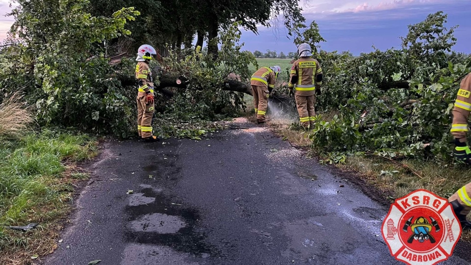 Burza łamała drzewa w regionie/fot. OSP Dąbrowa/Facebook