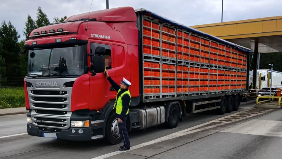 Policjanci przeprowadzili akcję „Trzeźwa autostrada” w powiecie toruńskim/fot: KMP w Toruniu